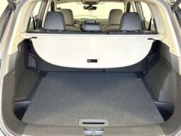 
										Nissan Rogue full									