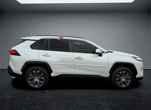 
								Toyota RAV4 Hybrid full									