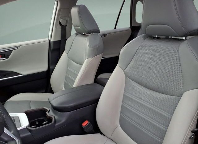 
								Toyota RAV4 Hybrid full									