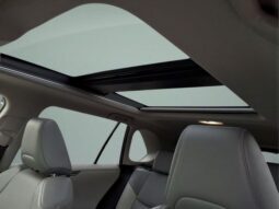 
										Toyota RAV4 Hybrid full									