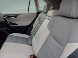 
										Toyota RAV4 Hybrid full									