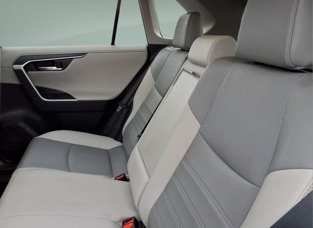 
								Toyota RAV4 Hybrid full									