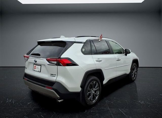 
								Toyota RAV4 Hybrid full									