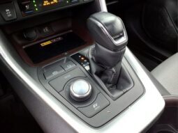 
										Toyota RAV4 Hybrid full									