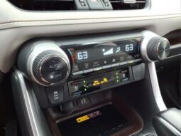 
										Toyota RAV4 Hybrid full									