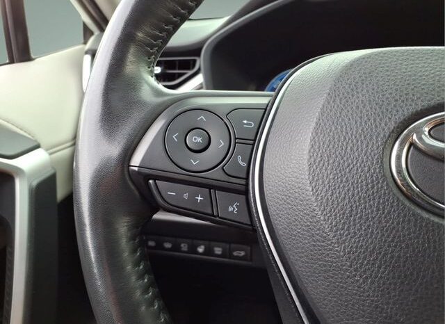 
								Toyota RAV4 Hybrid full									
