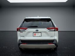 Toyota RAV4 Hybrid