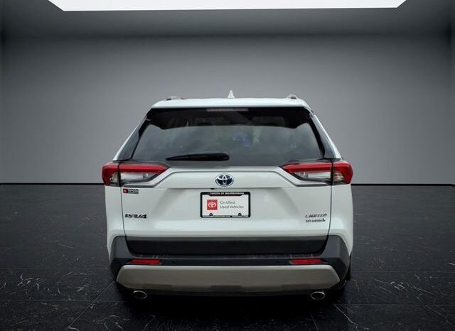 
								Toyota RAV4 Hybrid full									