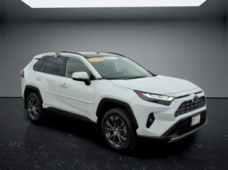 Toyota RAV4 Hybrid