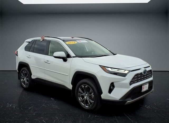 
								Toyota RAV4 Hybrid full									