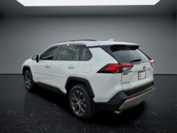 
										Toyota RAV4 Hybrid full									