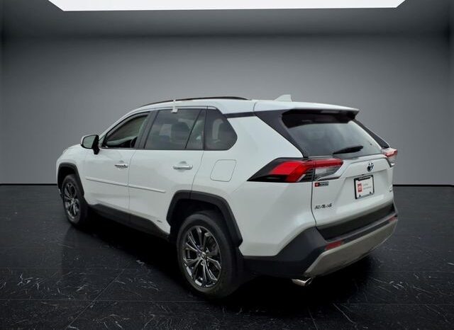 
								Toyota RAV4 Hybrid full									