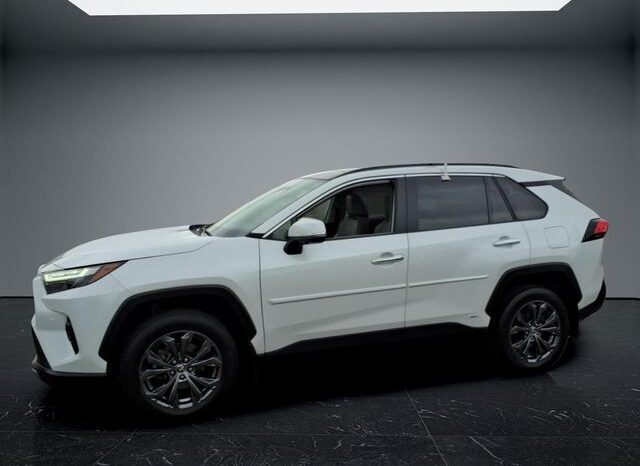 
								Toyota RAV4 Hybrid full									