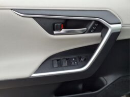 
										Toyota RAV4 Hybrid full									