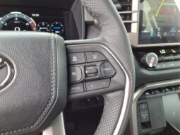 Toyota Tundra Hybrid full