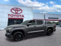
										Toyota Tundra Hybrid full									