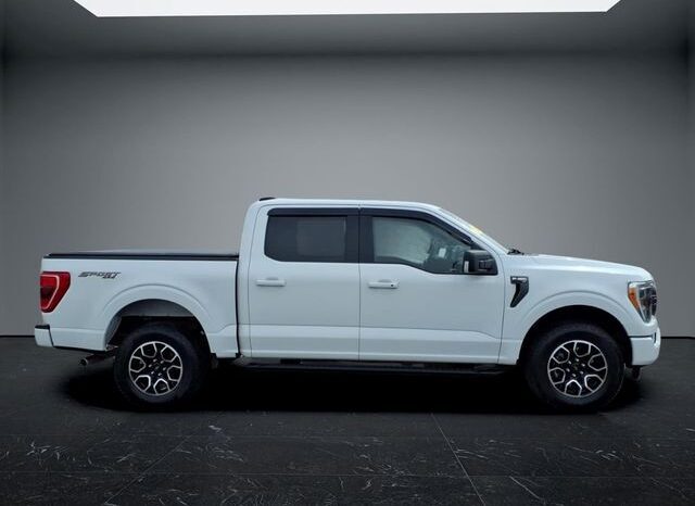 
								Ford F-150 full									