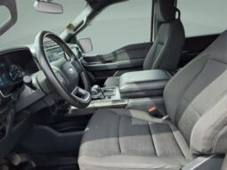 
										Ford F-150 full									