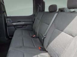 
										Ford F-150 full									