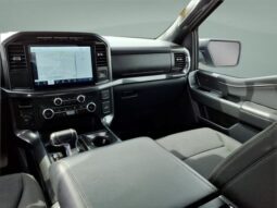 
										Ford F-150 full									