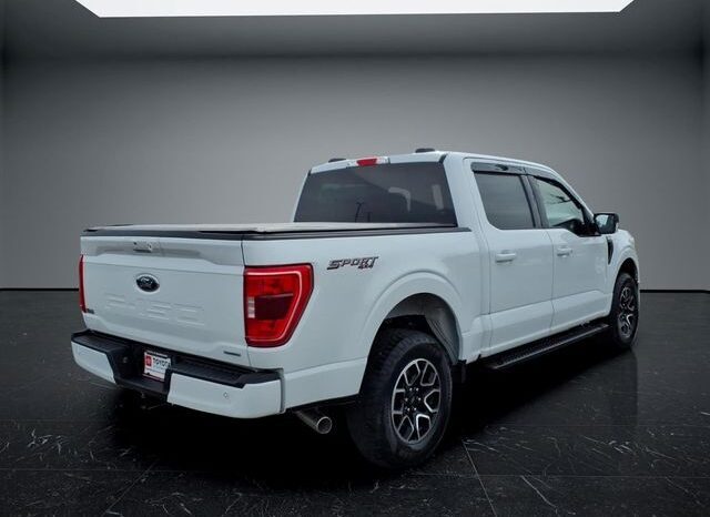
								Ford F-150 full									