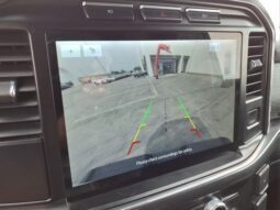 
										Ford F-150 full									
