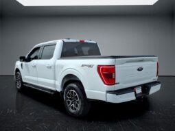 
										Ford F-150 full									