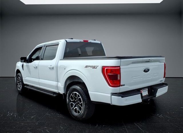 
								Ford F-150 full									