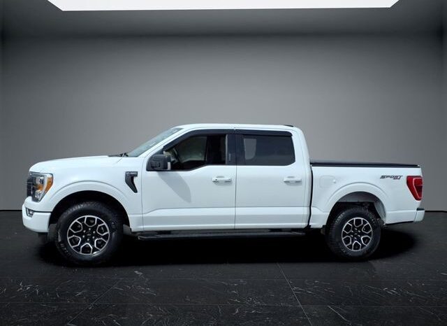 
								Ford F-150 full									