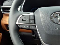 
 Toyota Highlander full									