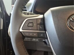 
										Toyota Sienna full									