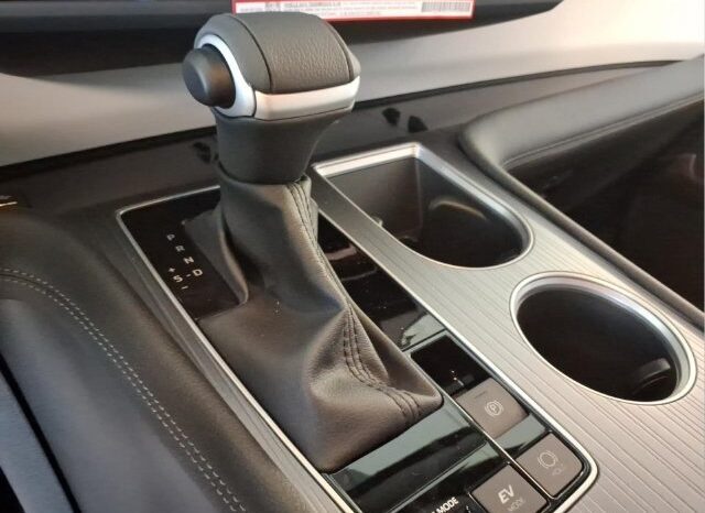 
								Toyota Sienna full									