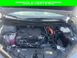 Toyota Sienna full
