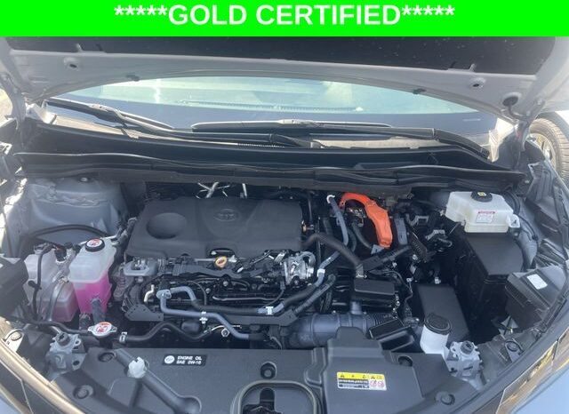 
 Toyota Sienna full									