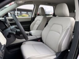 
										Nissan Pathfinder full									