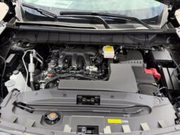 
										Nissan Pathfinder full									