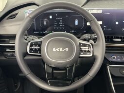 
 Kia Carnival Hybrid full									