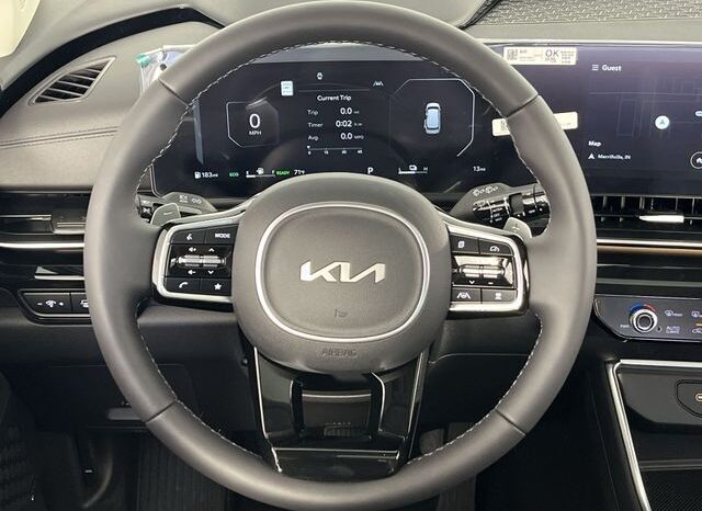 
 Kia Carnival Hybrid full									