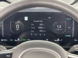 
 Kia Carnival Hybrid full									
