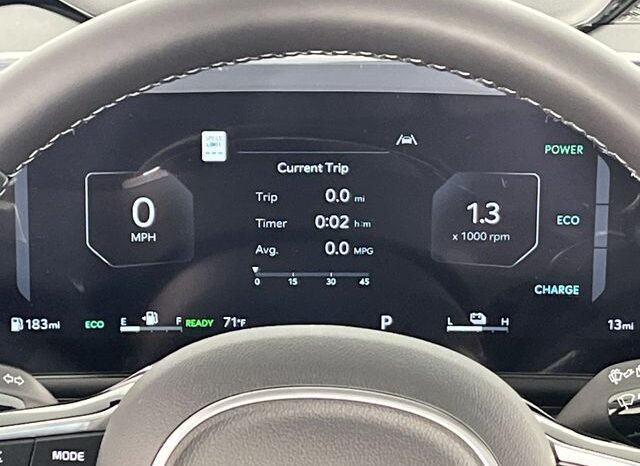 
 Kia Carnival Hybrid full									