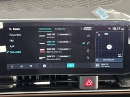 
 Kia Carnival Hybrid full									