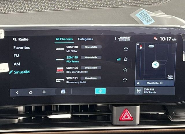 
 Kia Carnival Hybrid full									