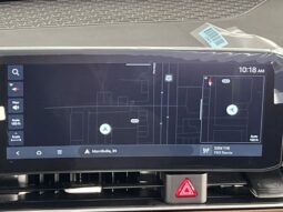 
 Kia Carnival Hybrid full									