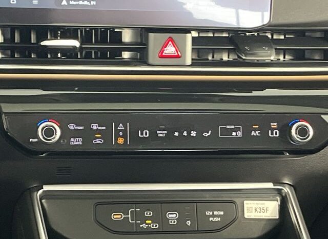 
 Kia Carnival Hybrid full									