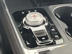 
 Kia Carnival Hybrid full									