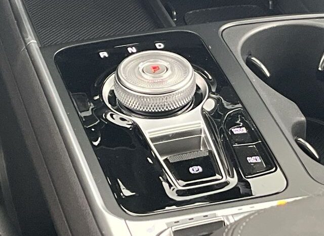 
 Kia Carnival Hybrid full									