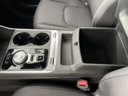
 Kia Carnival Hybrid full									