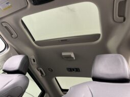 
 Kia Carnival Hybrid full									