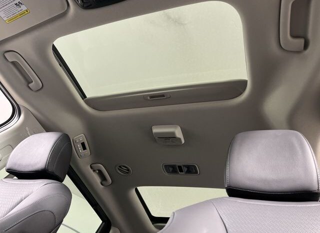 
 Kia Carnival Hybrid full									