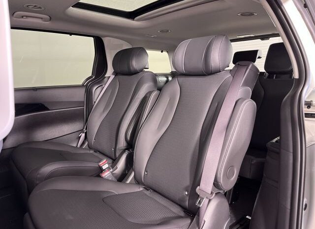 
 Kia Carnival Hybrid full									